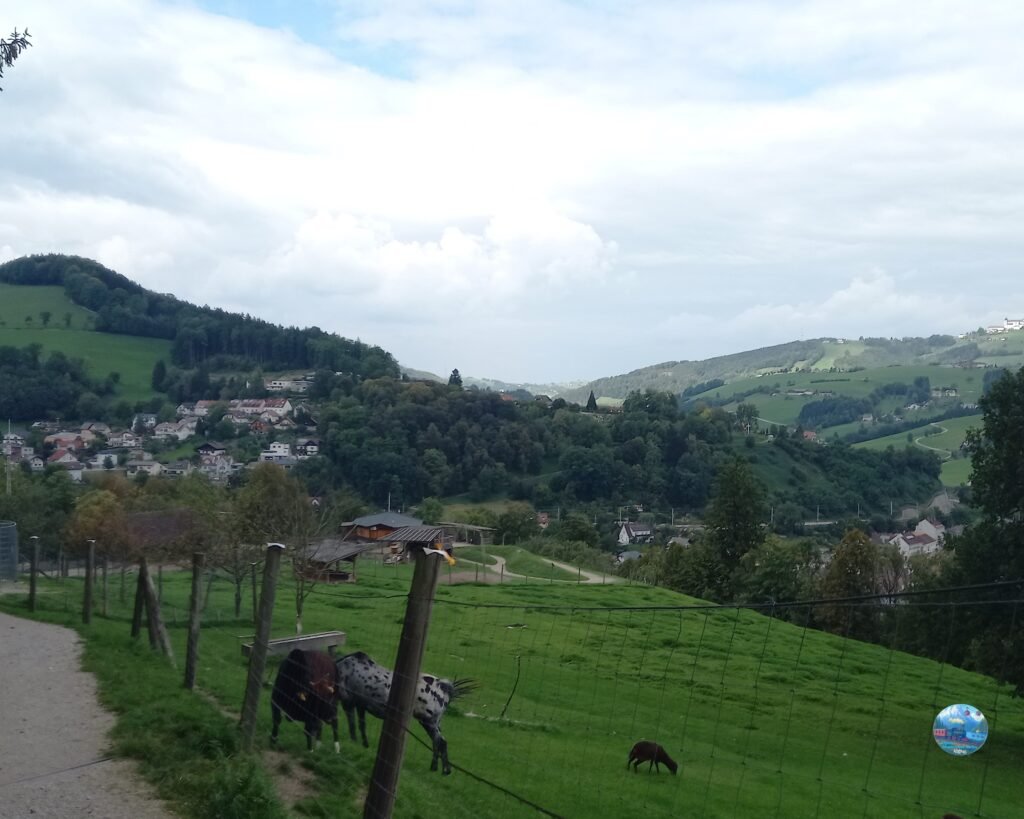 wá3